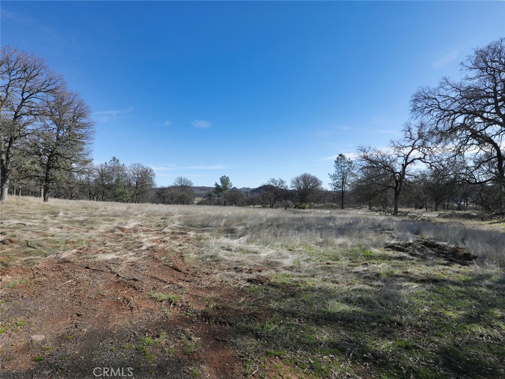19755 Grange Property Photo 34