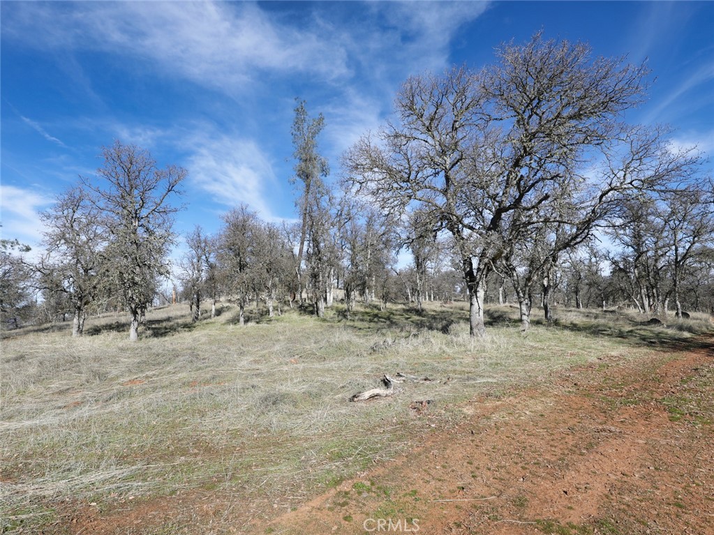 19755 Grange Property Photo 36