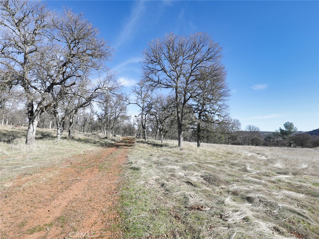 19755 Grange Property Photo 37