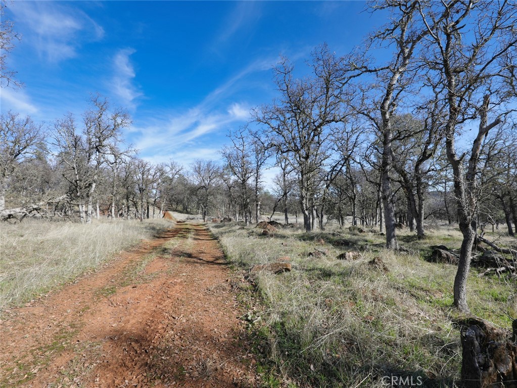 19755 Grange Property Photo 38