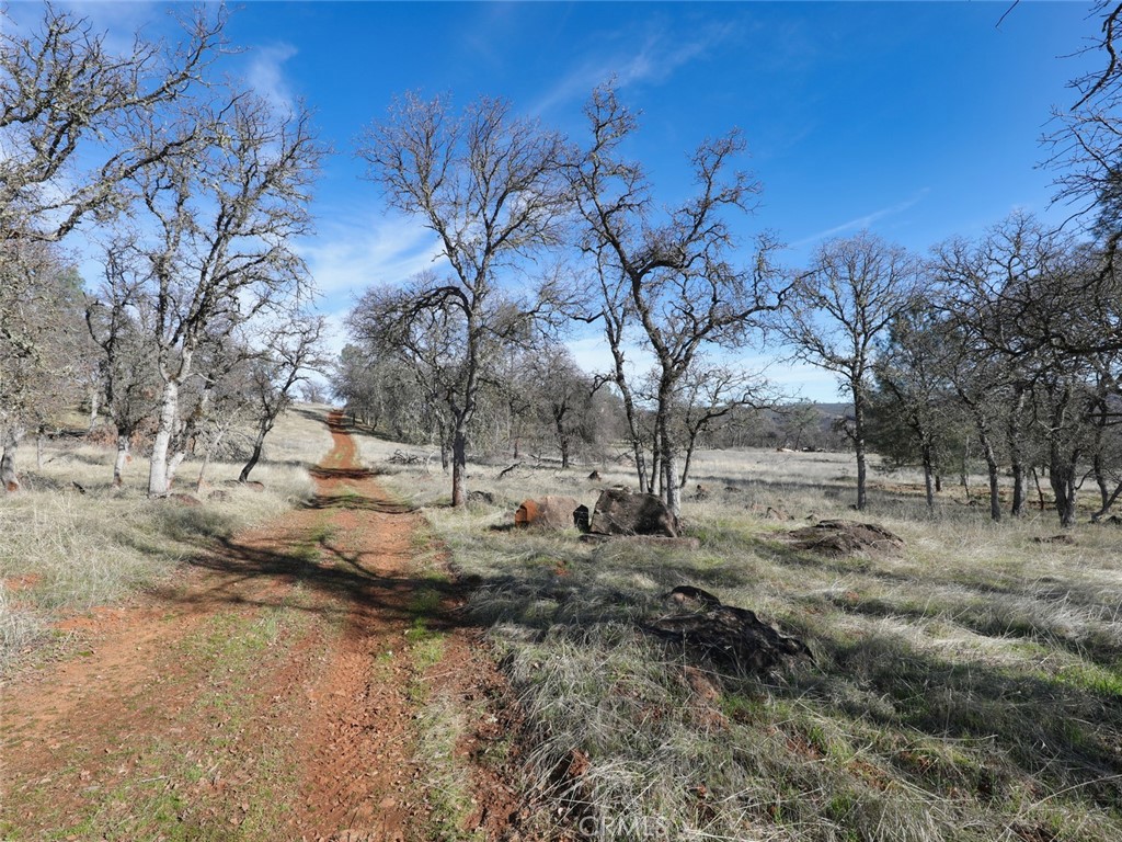 19755 Grange Property Photo 39
