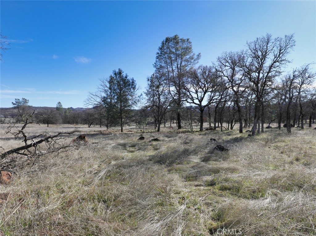 19755 Grange Property Photo 40
