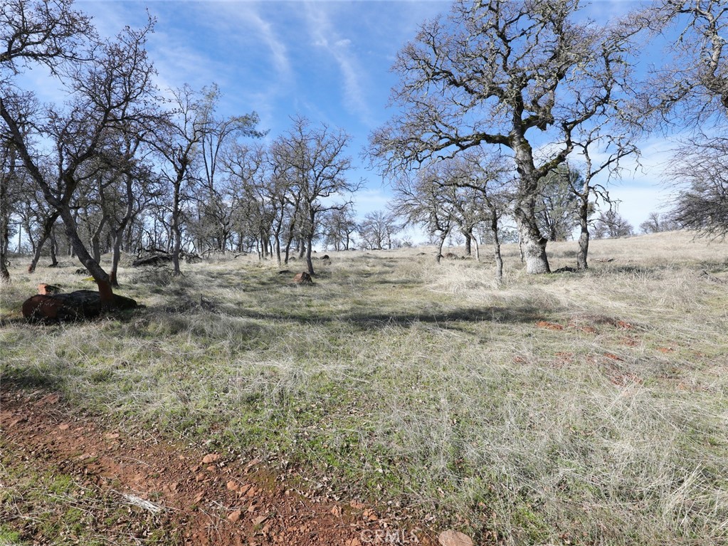 19755 Grange Property Photo 41