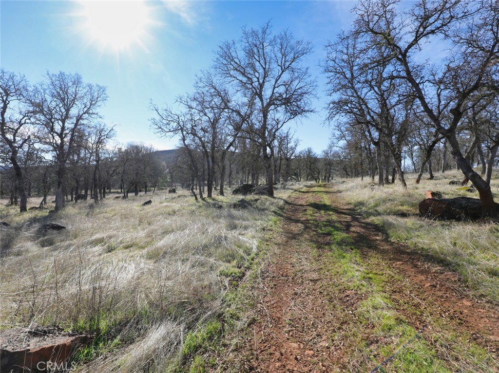19755 Grange Property Photo 42