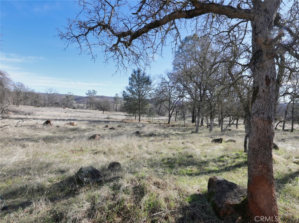 19755 Grange Property Photo 43