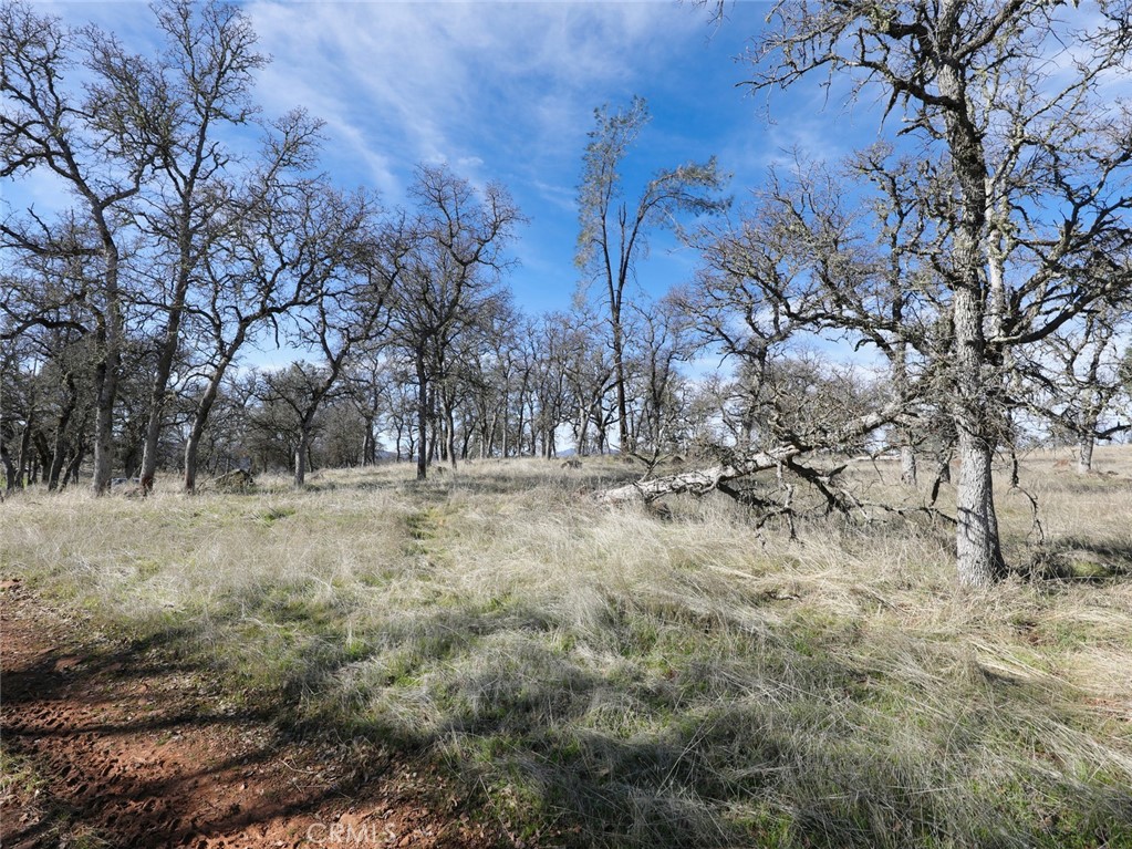 19755 Grange Property Photo 44