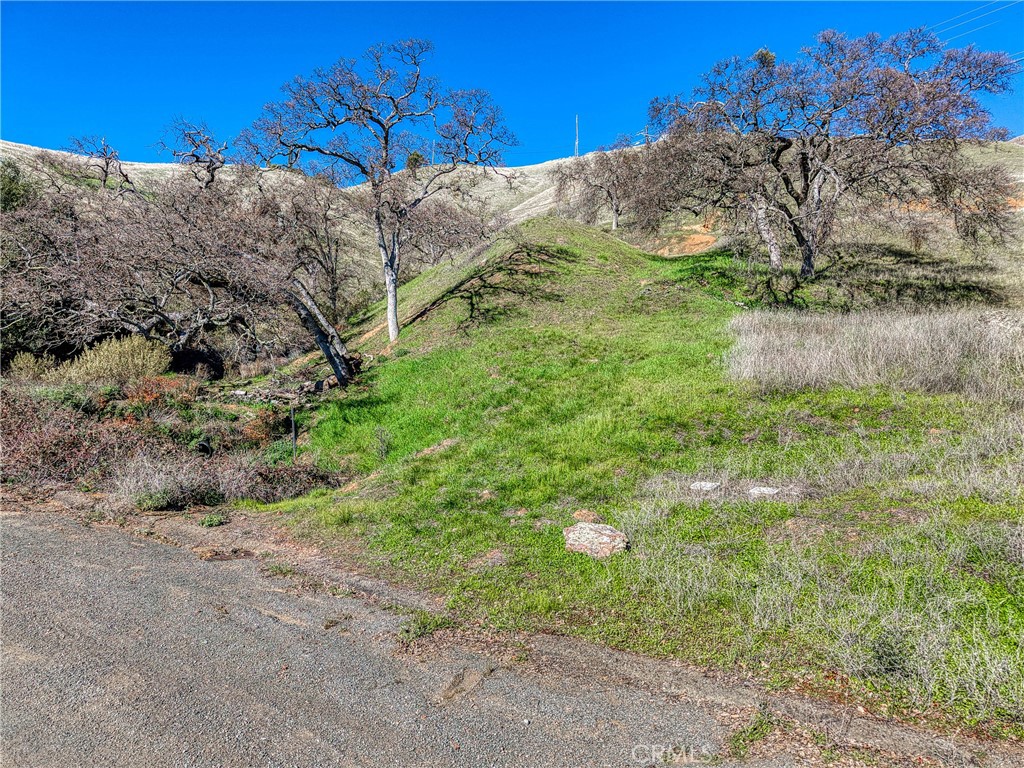 7780 Verna Property Photo 15