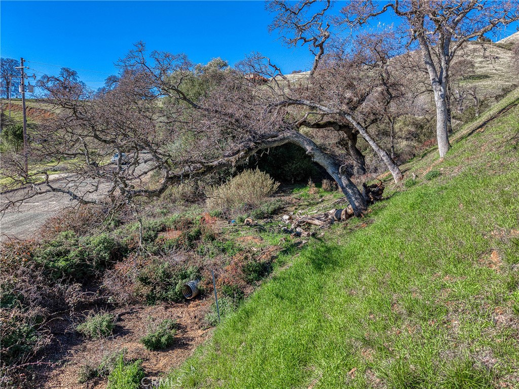7780 Verna Property Photo 17