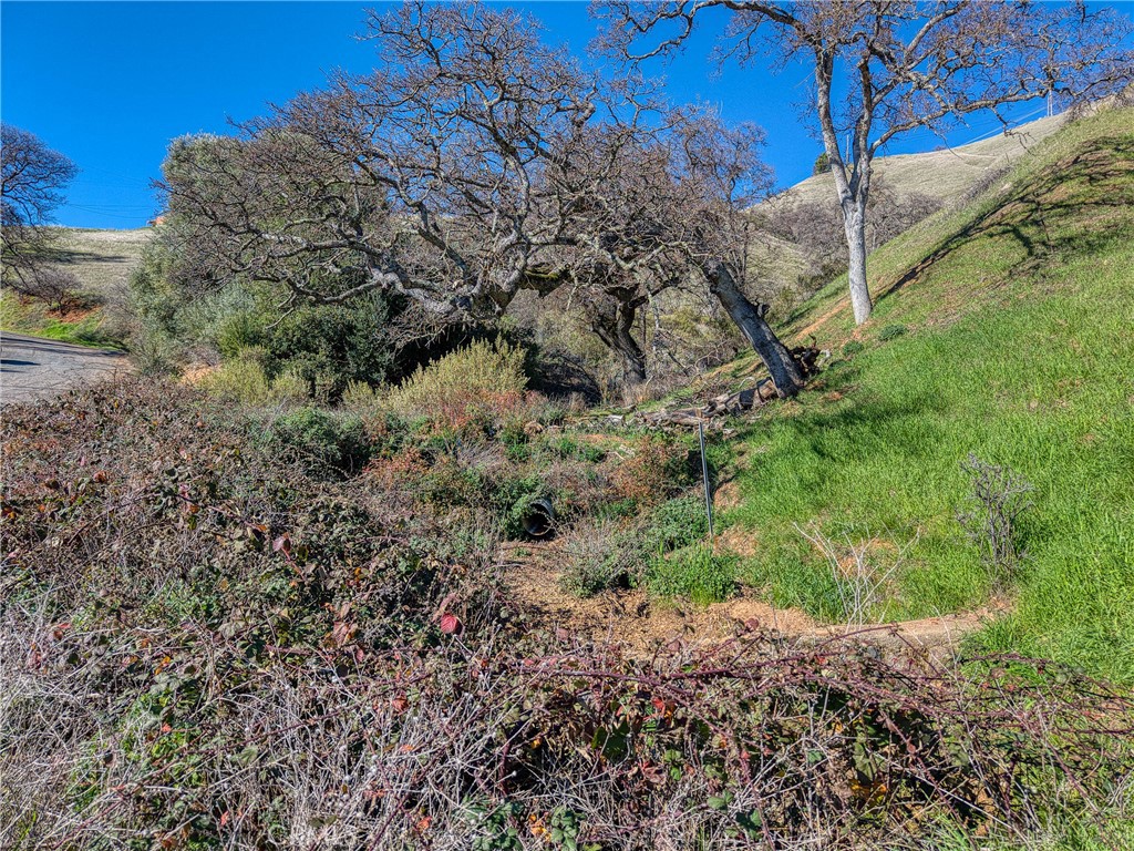 7780 Verna Property Photo 25