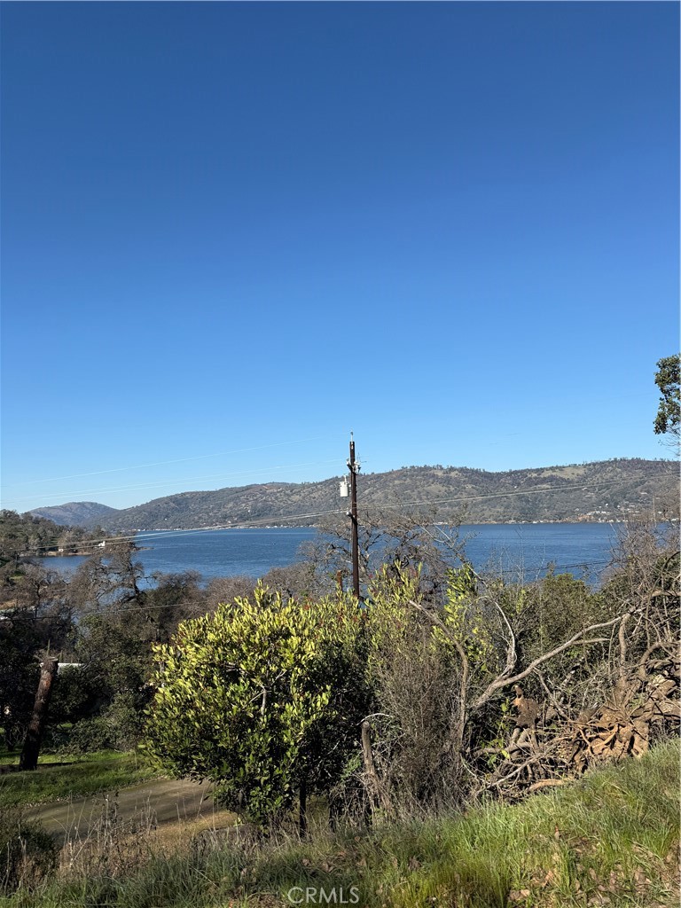 11570 North Drive Property Photo 3