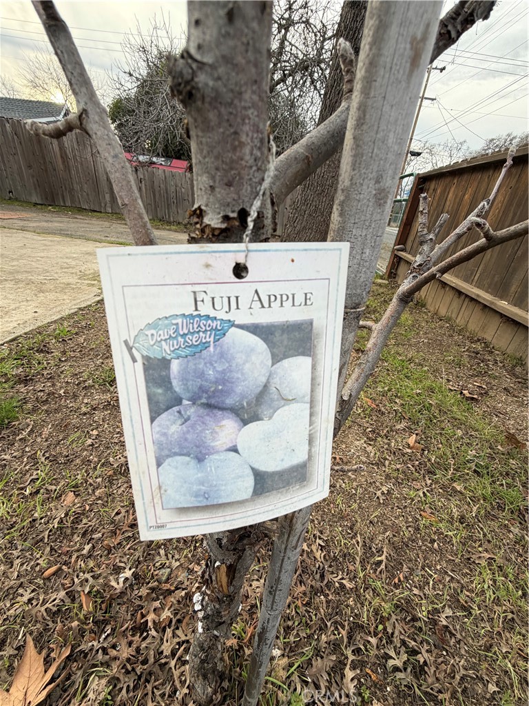 14707 Walnut Avenue Property Photo 60