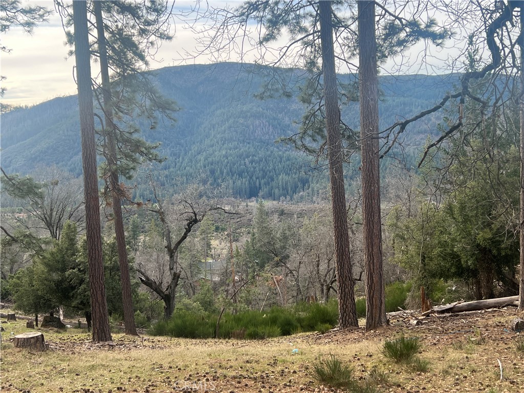 9457 Fox Property Photo 1