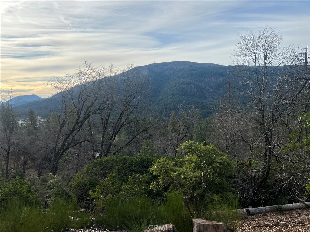 9457 Fox Property Photo 4