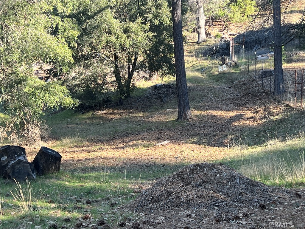 9457 Fox Property Photo 5