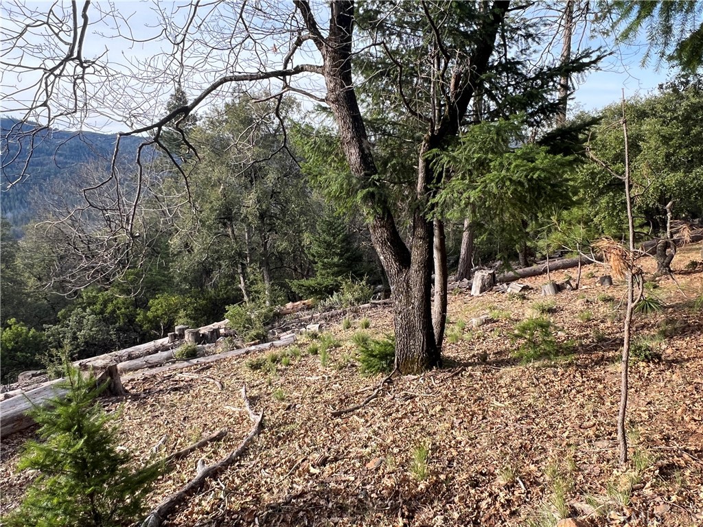 9457 Fox Property Photo 6