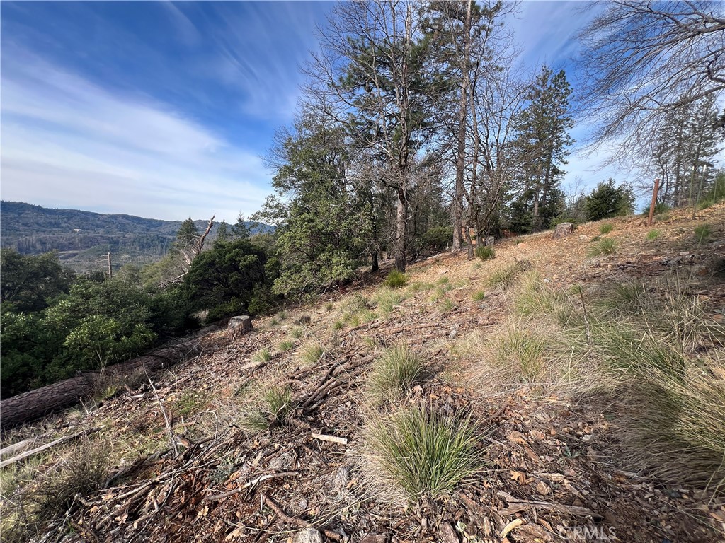 9457 Fox Property Photo 9