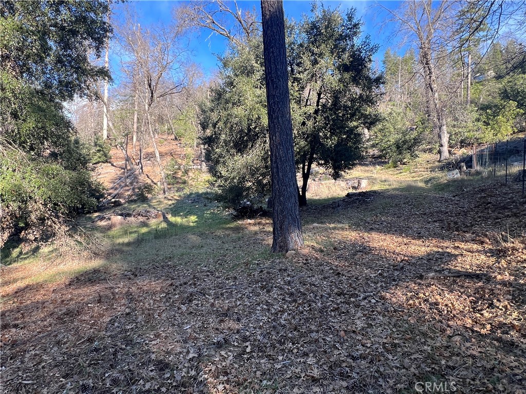 9457 Fox Property Photo 14