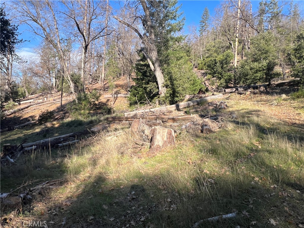 9457 Fox Property Photo 15