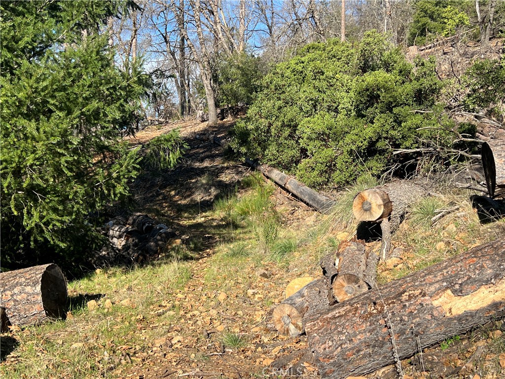 9457 Fox Property Photo 16