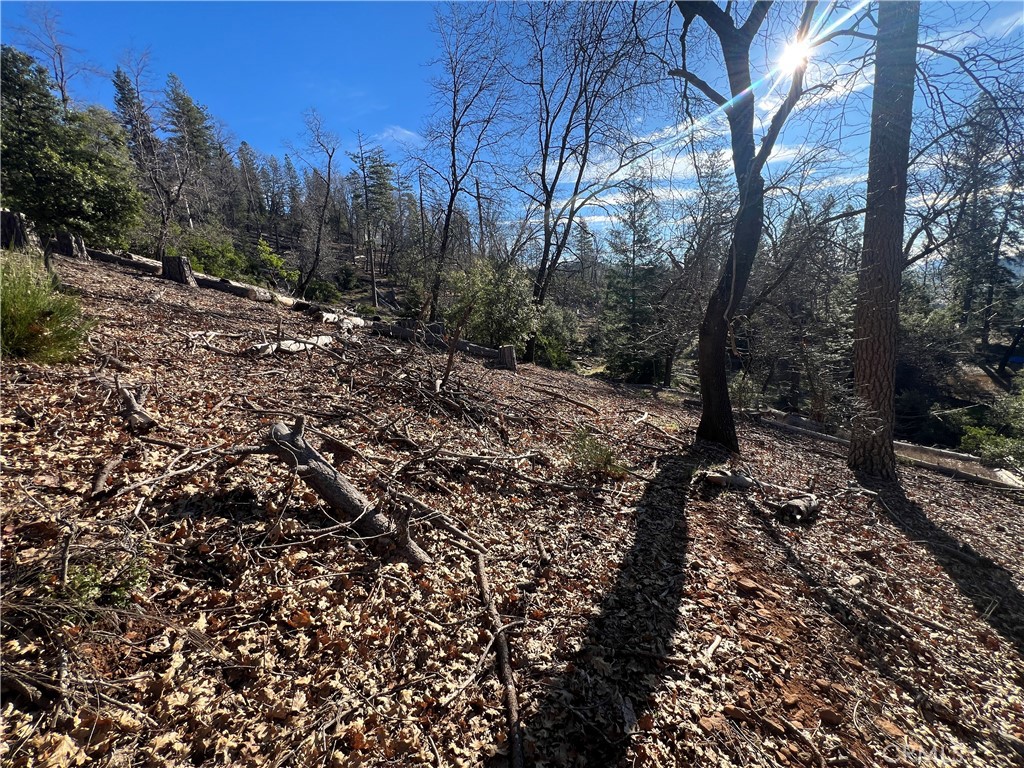 9457 Fox Property Photo 17