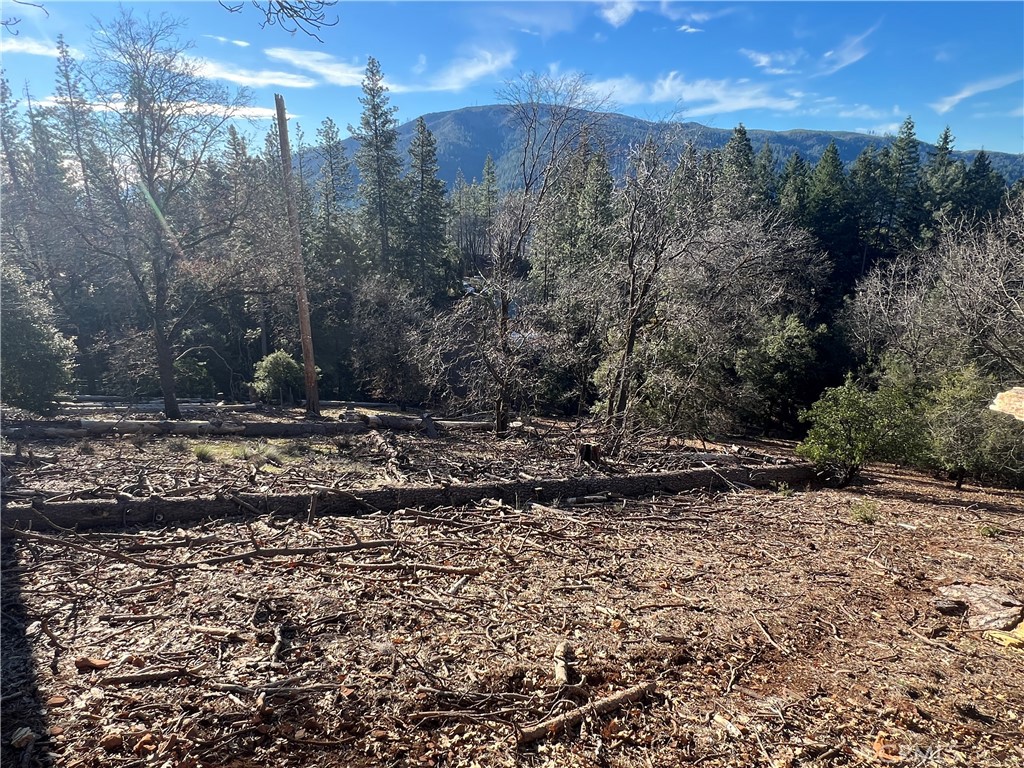 9457 Fox Property Photo 20