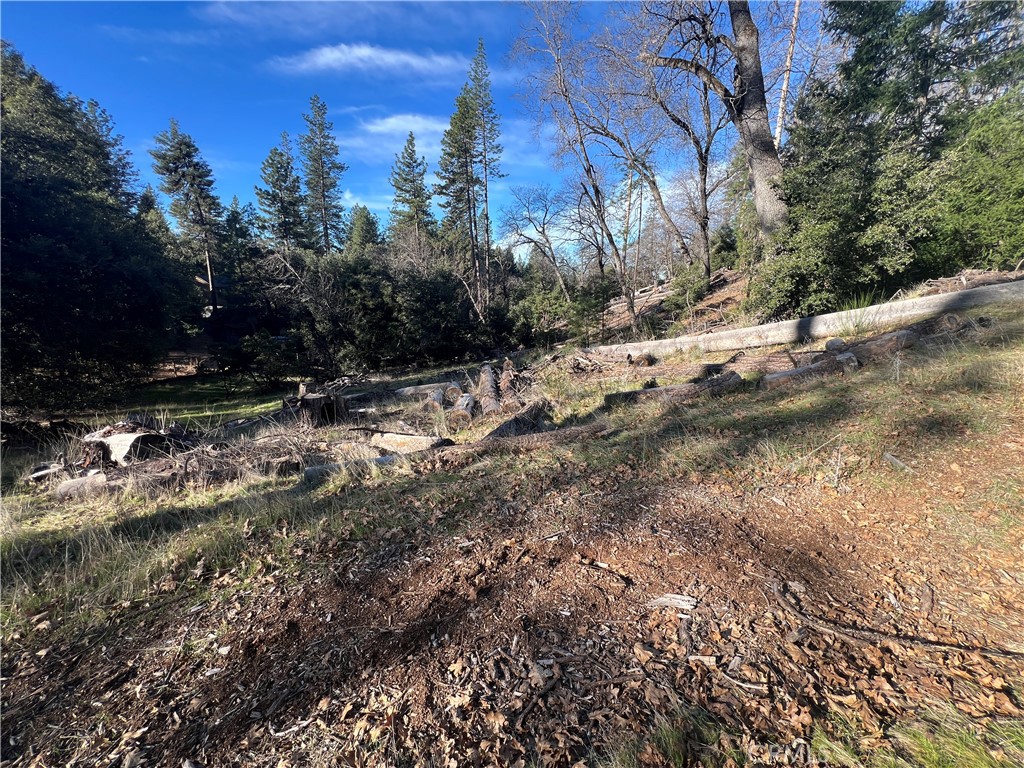 9457 Fox Property Photo 23