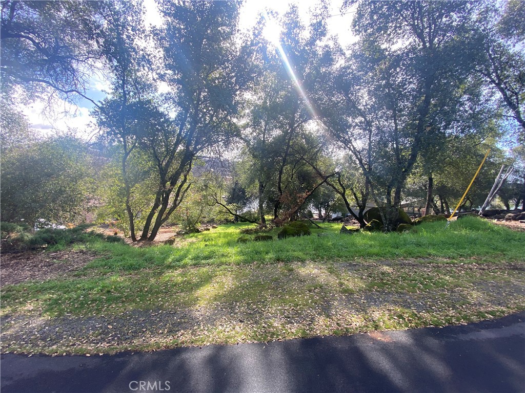 18879 N Shore Property Photo 1
