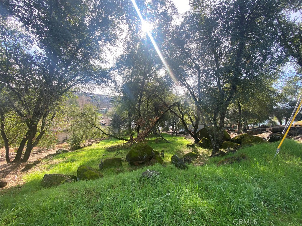 18879 N Shore Property Photo 7