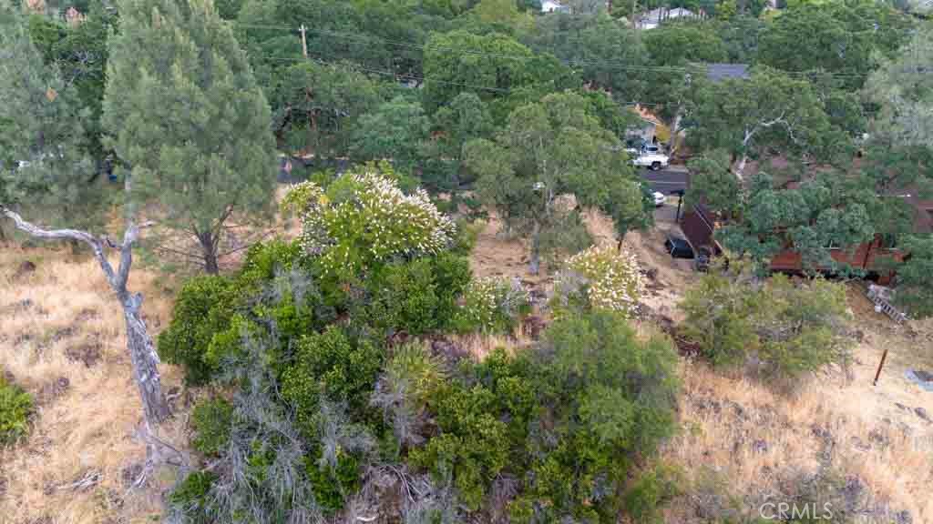 18337 North Shore Drive Property Photo 4