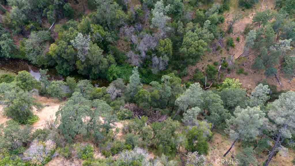 18337 North Shore Drive Property Photo 9