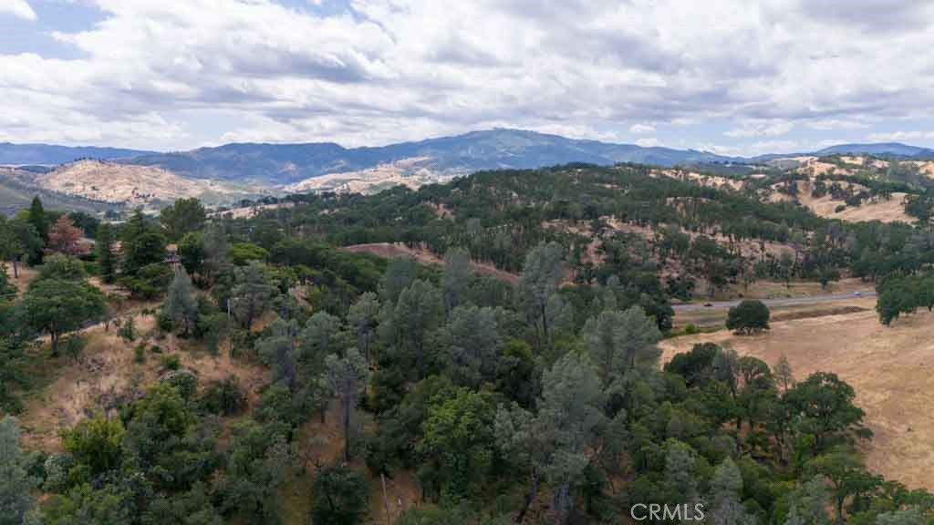 18337 North Shore Drive Property Photo 15