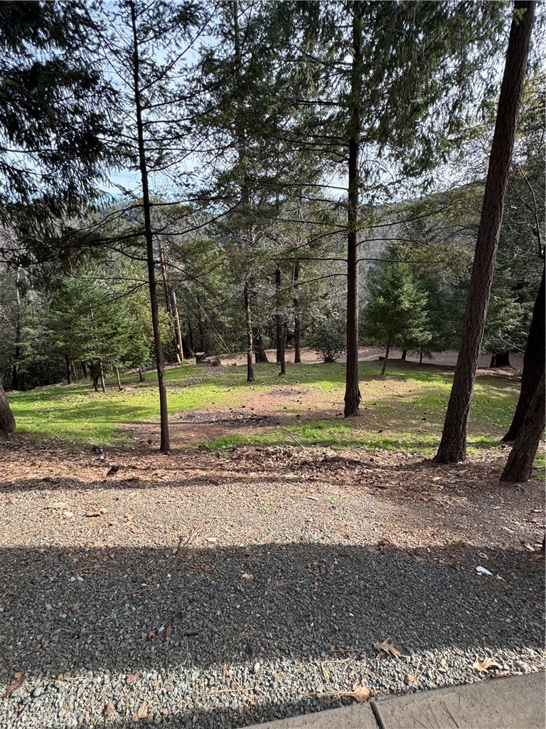 14986 Western Mine Road Property Photo 4