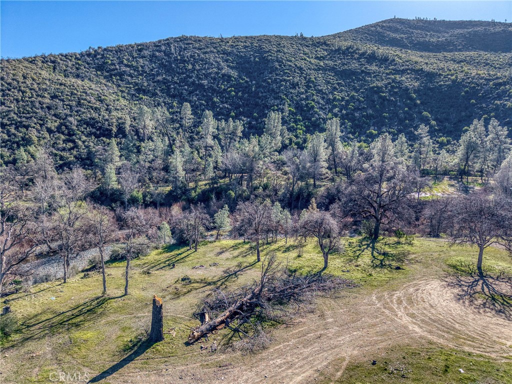 16332 Bartlett Springs Property Photo 5