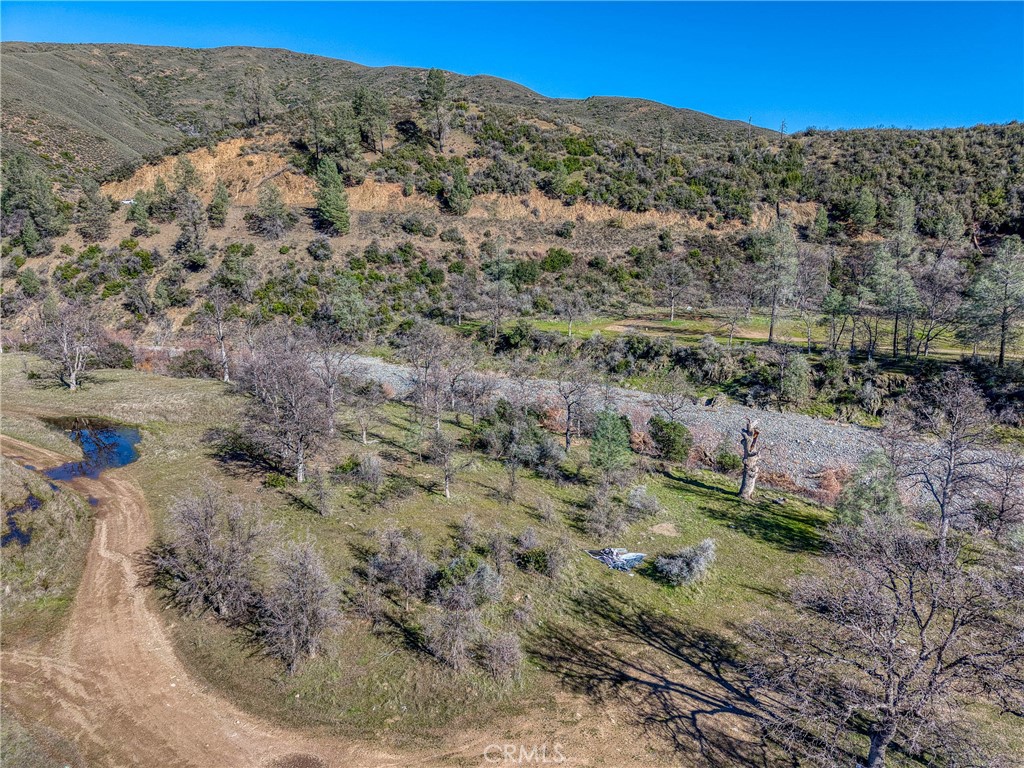 16332 Bartlett Springs Property Photo 20