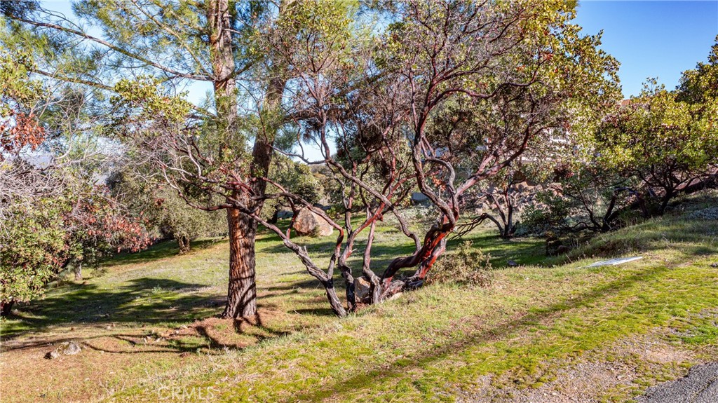 4587 Hawaina Way Property Photo 5