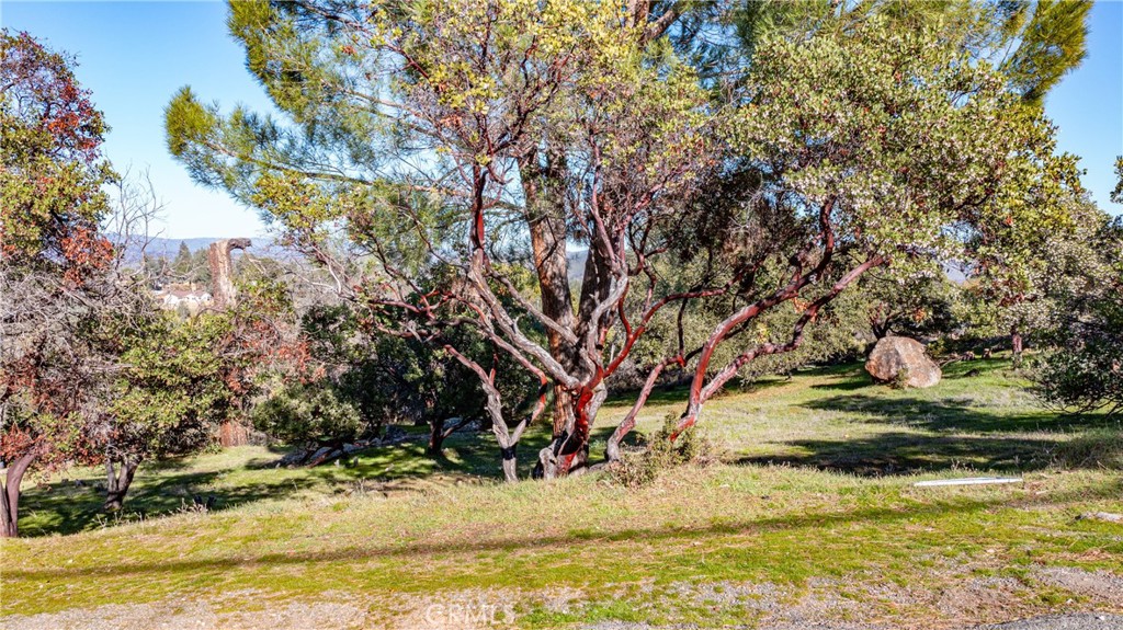 4587 Hawaina Way Property Photo 6