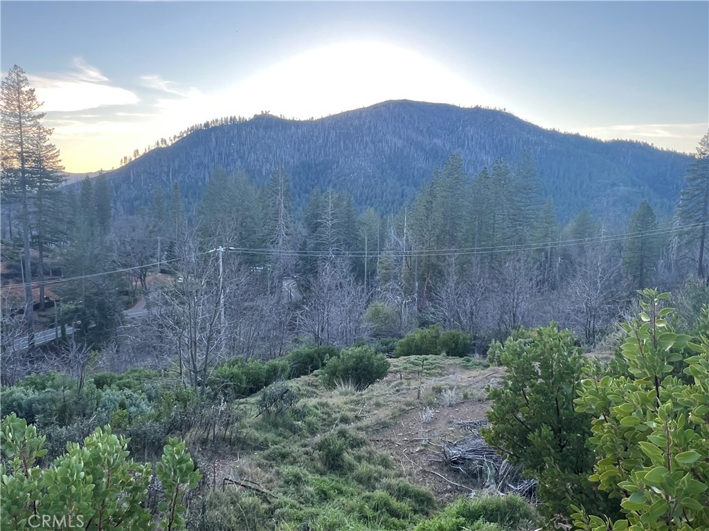 16790 Starview Loop Rd Property Photo 1