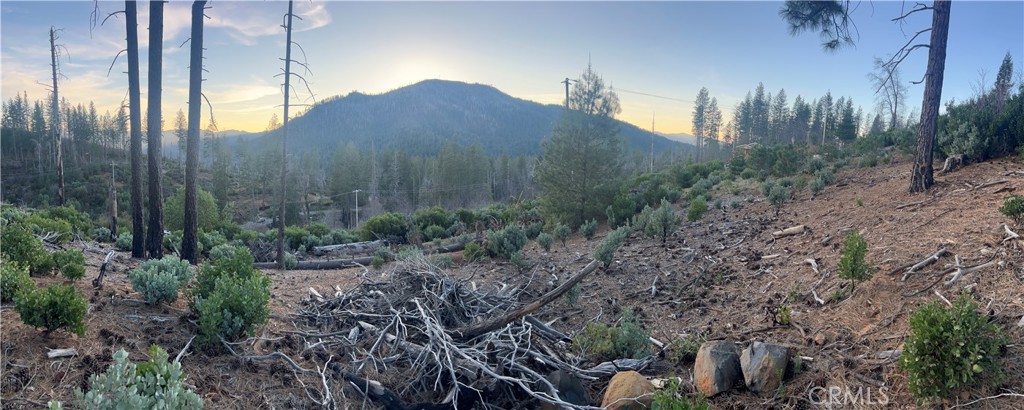 16790 Starview Loop Rd Property Photo 2