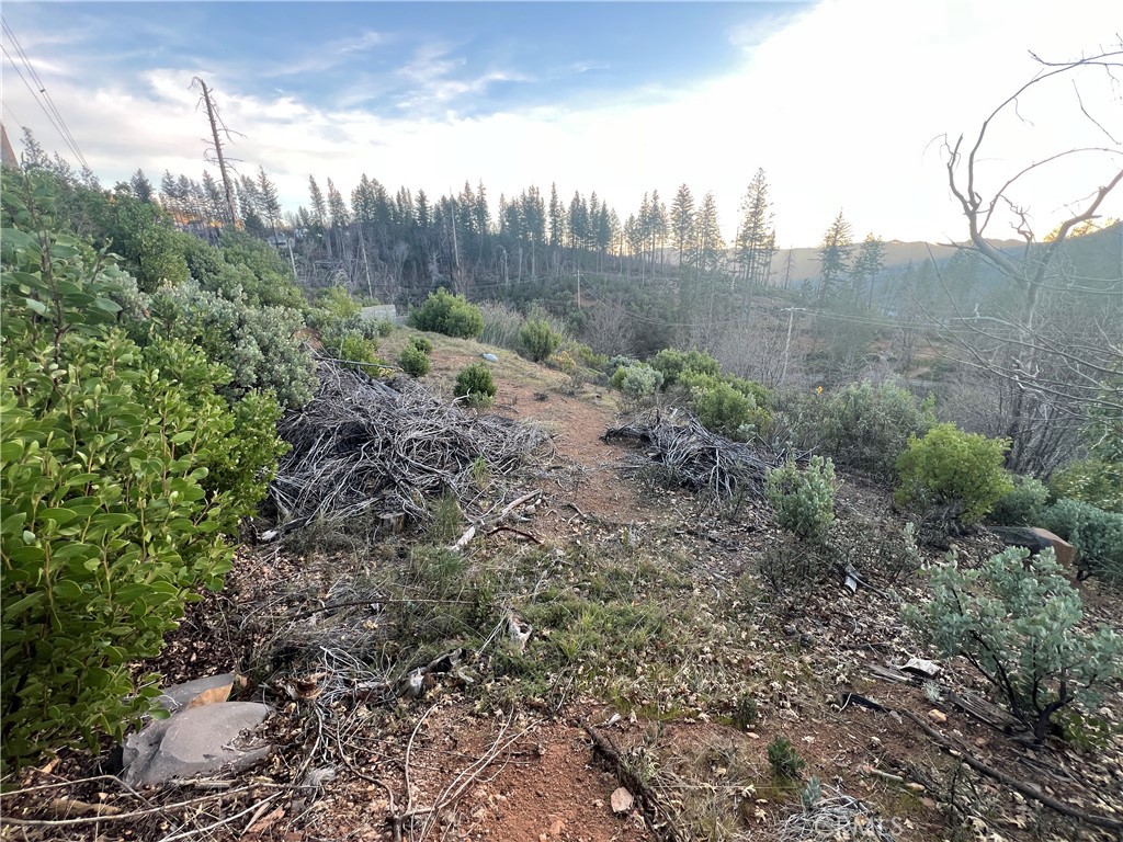16790 Starview Loop Rd Property Photo 4