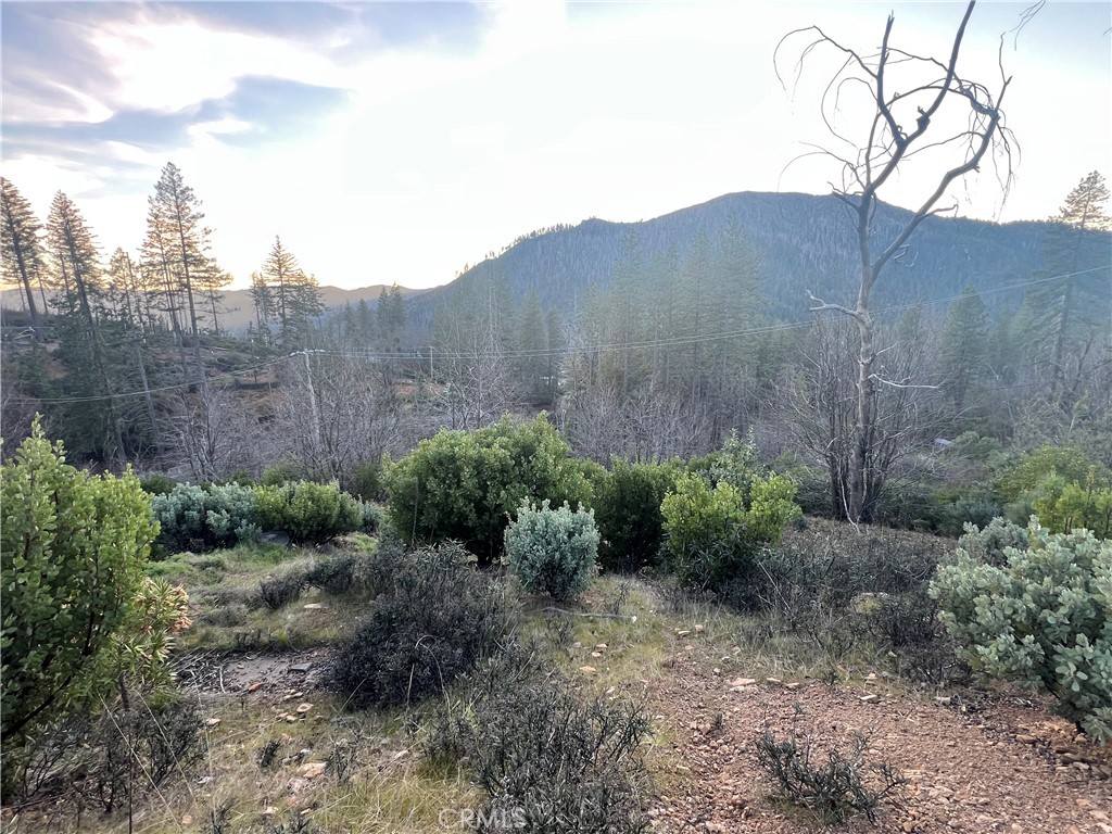 16790 Starview Loop Rd Property Photo 6