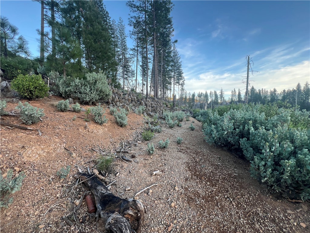 16790 Starview Loop Rd Property Photo 7