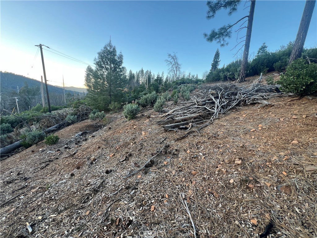 16790 Starview Loop Rd Property Photo 8