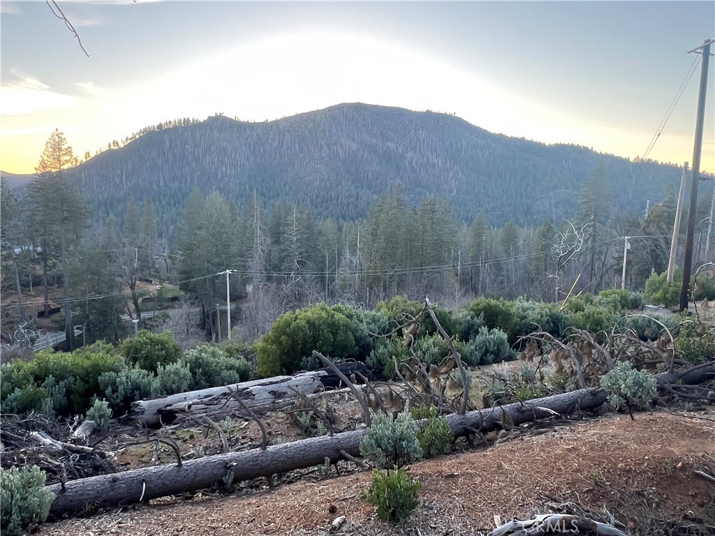 16790 Starview Loop Rd Property Photo 9
