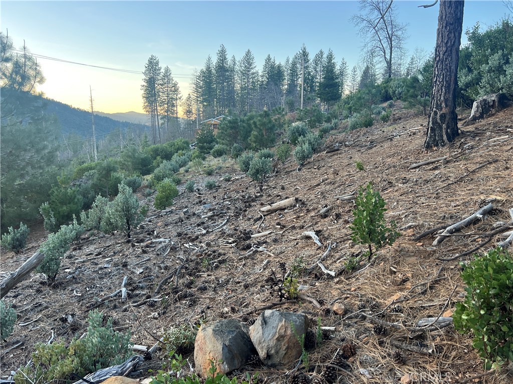 16790 Starview Loop Rd Property Photo 10