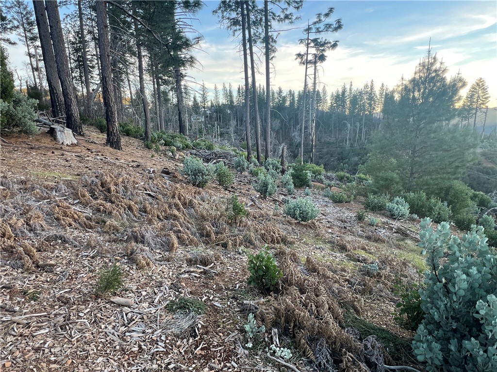 16790 Starview Loop Rd Property Photo 11