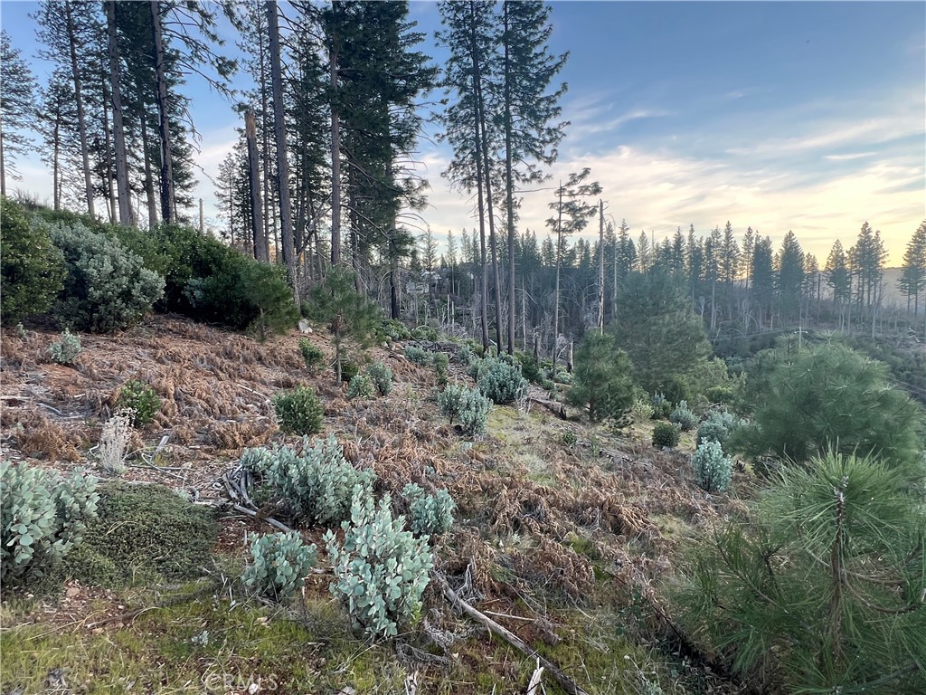 16790 Starview Loop Rd Property Photo 12