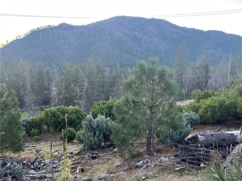 16790 Starview Loop Rd Property Photo 13