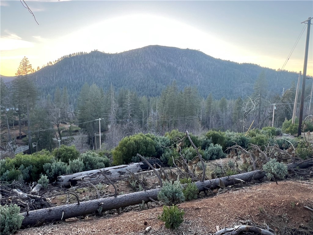 16710 Starview Loop Rd Property Photo 1