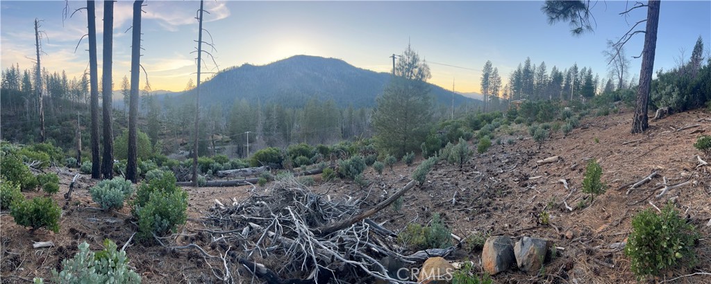 16710 Starview Loop Rd Property Photo 2