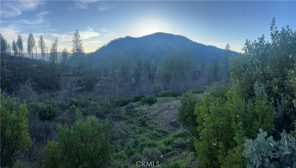 16710 Starview Loop Rd Property Photo 4